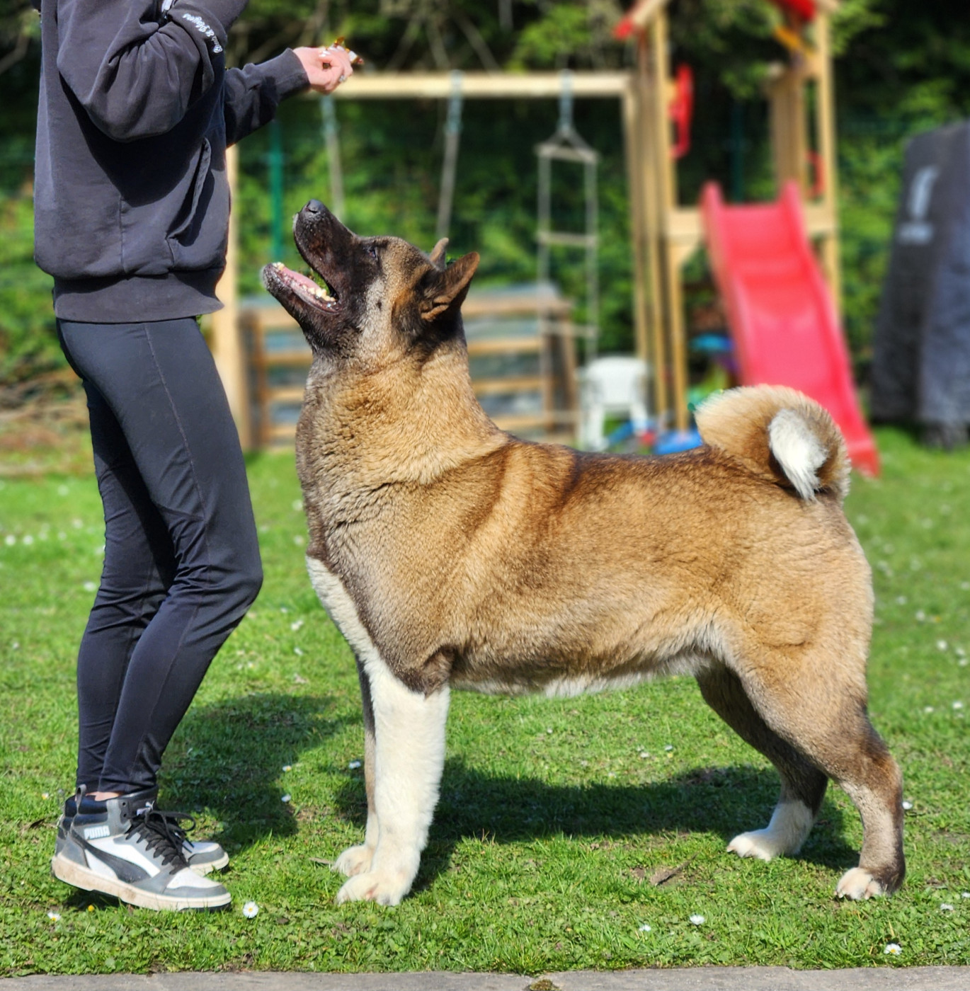 Santa fe Of Bear's Park